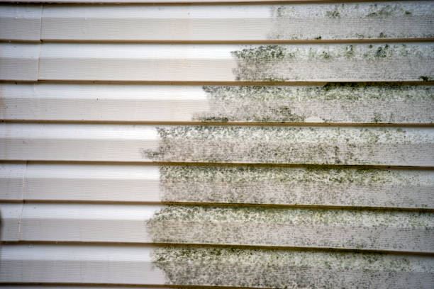 Best Carpet Removal and Disposal  in South Coventry, CT